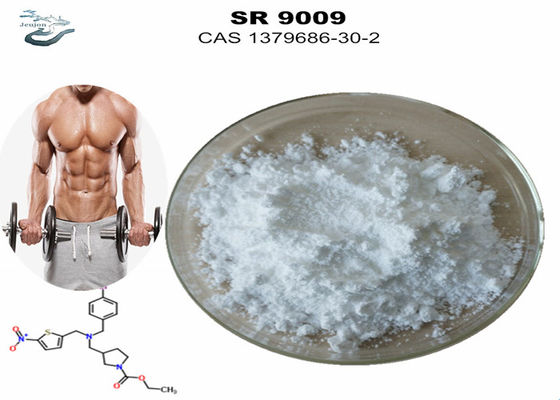Gym Powder Sarms Workout Supplement Stenaboli SR-9009 Pre Workout CAS 1379686-30-2